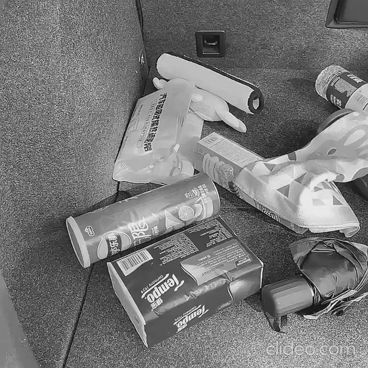 Car Trunk Organizer, Large Capacity Backseat Trunk Organizer